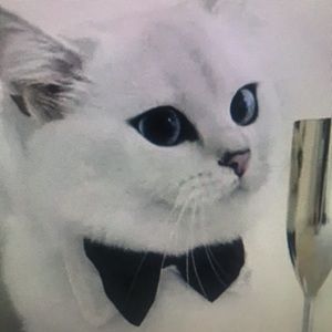 Meet your Posher, Theresa